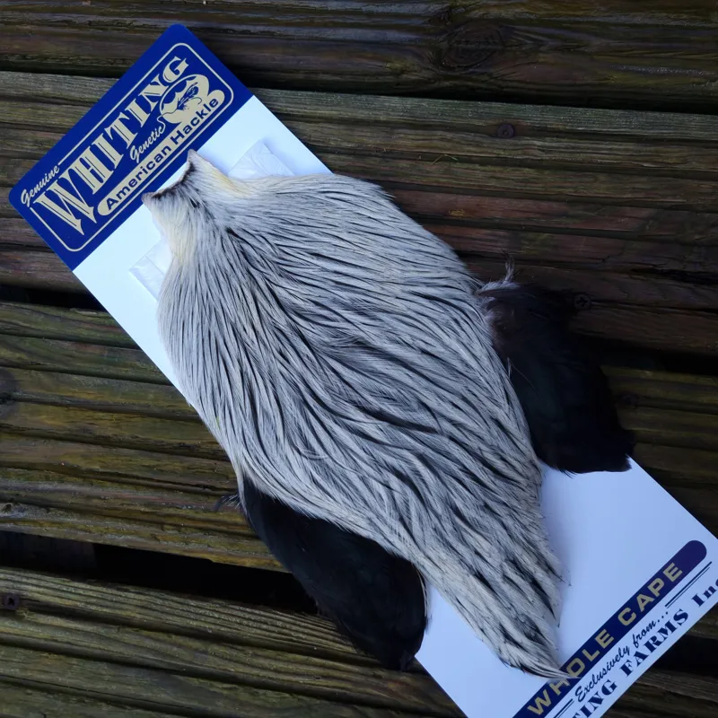 American Rooster Cape in Natural Silver Badger-2