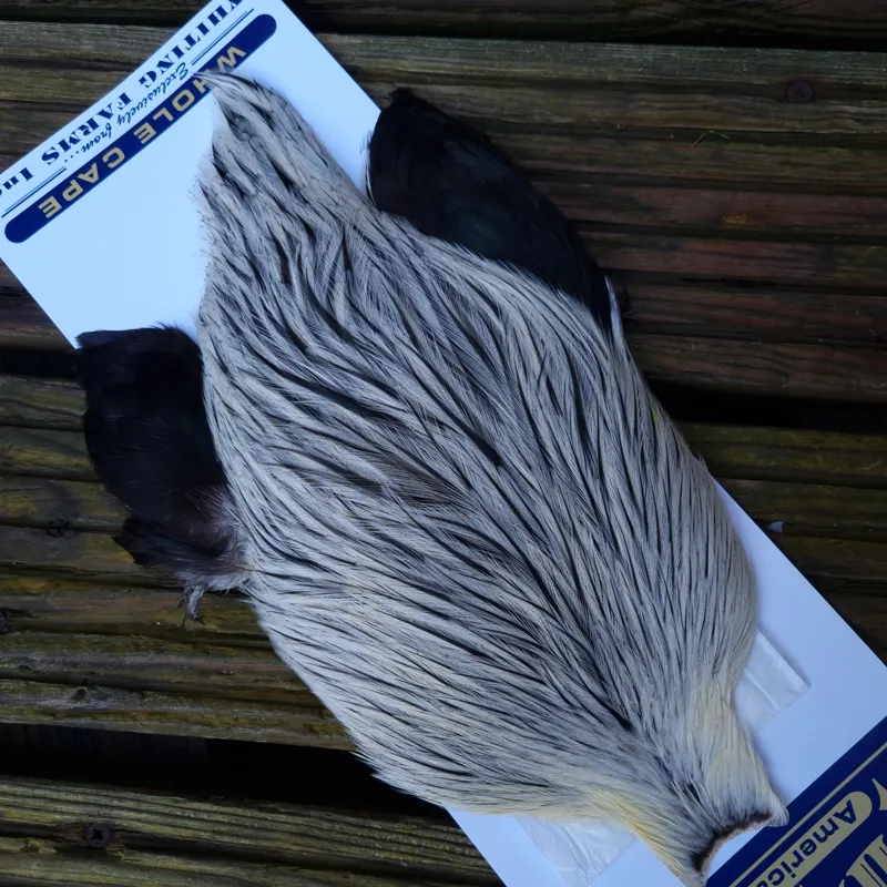 American Rooster Cape in Natural Silver Badger-3