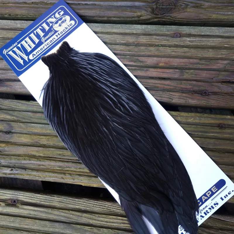 Whiting American Rooster Cape in  Black
