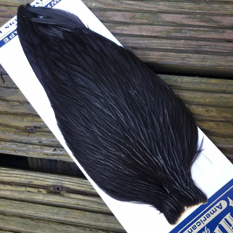 Whiting American Rooster Cape in  Black-3