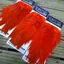 Whiting American Rooster Saddle in Orange
