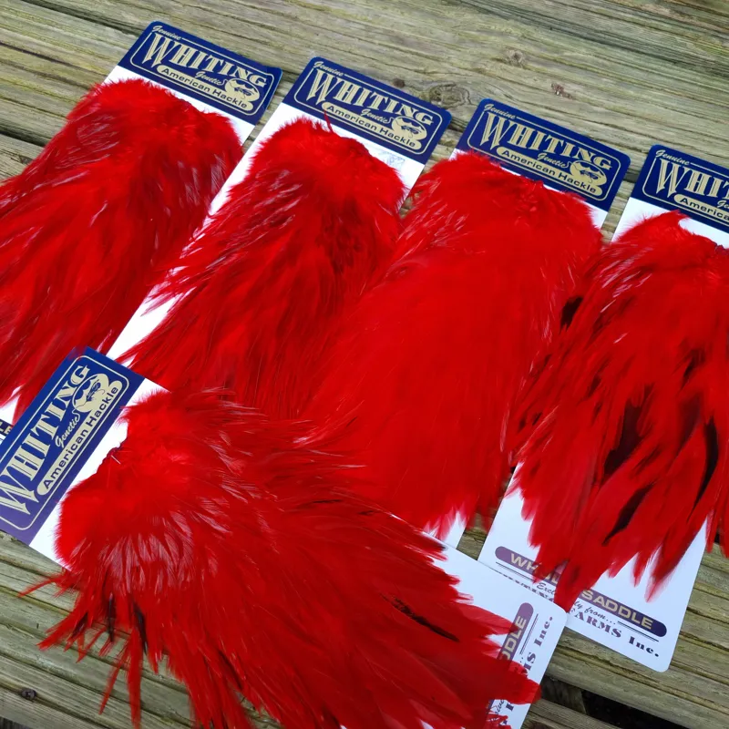 Whiting American Rooster Saddle in Red-2