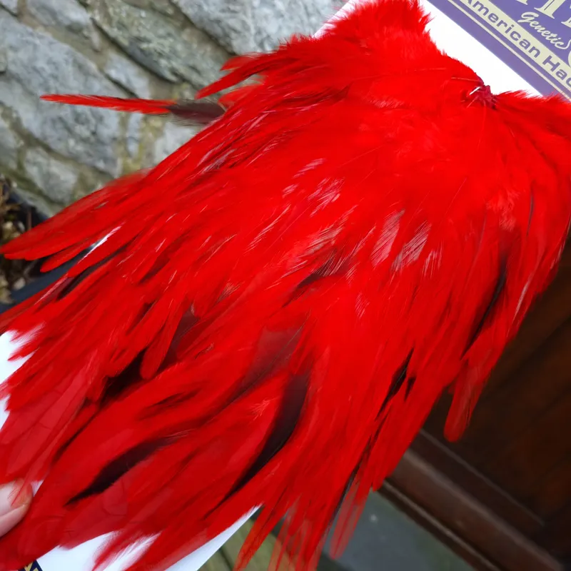 Whiting American Rooster Saddle in Red