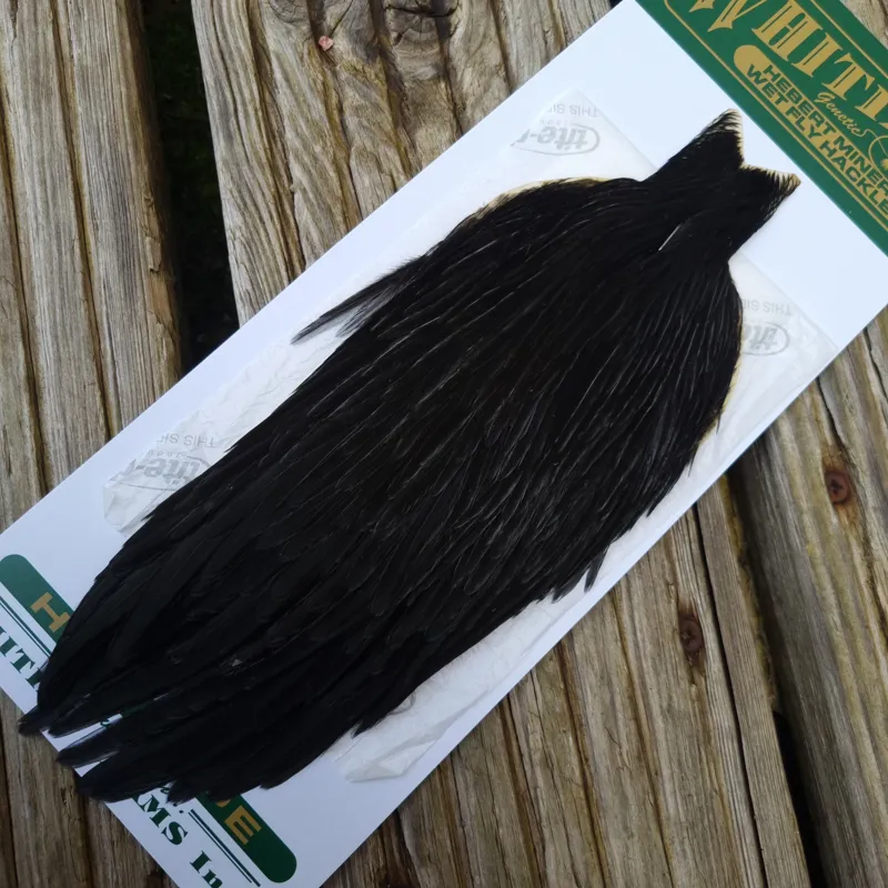 Whiting Hebert Miner Hen Cape in Natural Black B-2