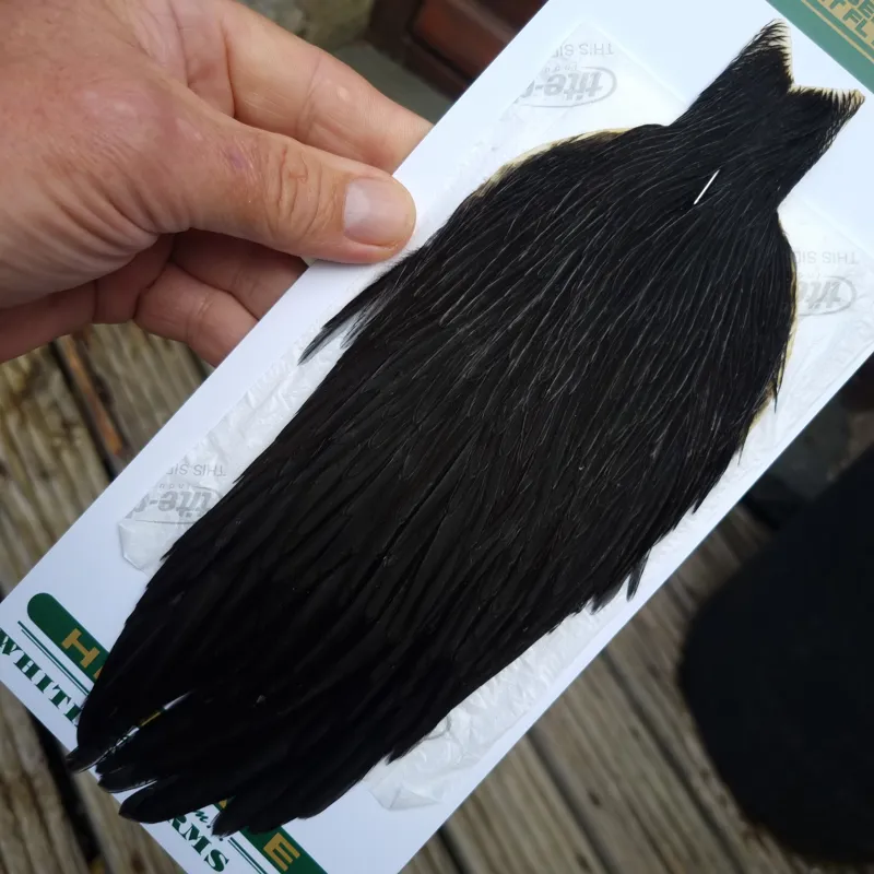 Whiting Hebert Miner Hen Cape in Natural Black B