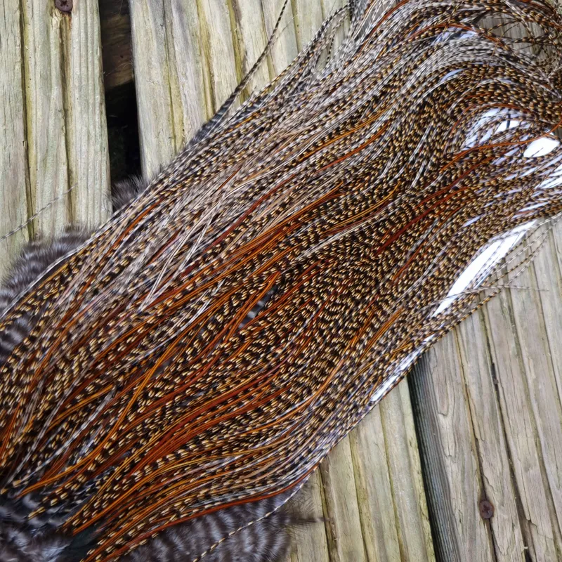 Whiting Bronze Grade Midge Rooster Saddle in CREE B Approx Tying Size Few 14 and Stuffed with16/18 and a few 20 and smaller-8