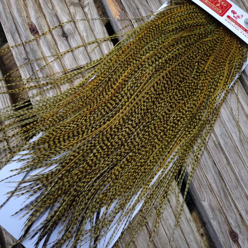 Whiting Pro-Grade Midge Rooster Saddle in Grizzly Dyed Olive B Splashed with OLIVE BADGER Hackles Approx tying size 14/16/18/20/22/24 AND OUT OF SIGHT-4