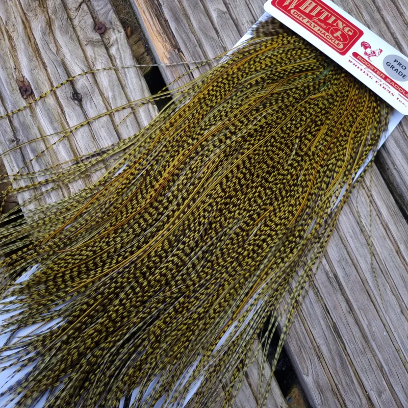 Whiting Pro-Grade Midge Rooster Saddle in Grizzly Dyed Olive B Splashed with OLIVE BADGER Hackles Approx tying size 14/16/18/20/22/24 AND OUT OF SIGHT-6