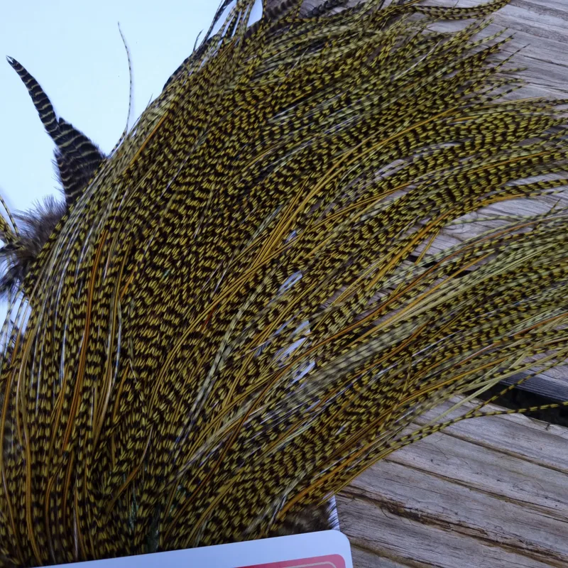 Whiting Pro-Grade Midge Rooster Saddle in Grizzly Dyed Olive B Splashed with OLIVE BADGER Hackles Approx tying size 14/16/18/20/22/24 AND OUT OF SIGHT-7