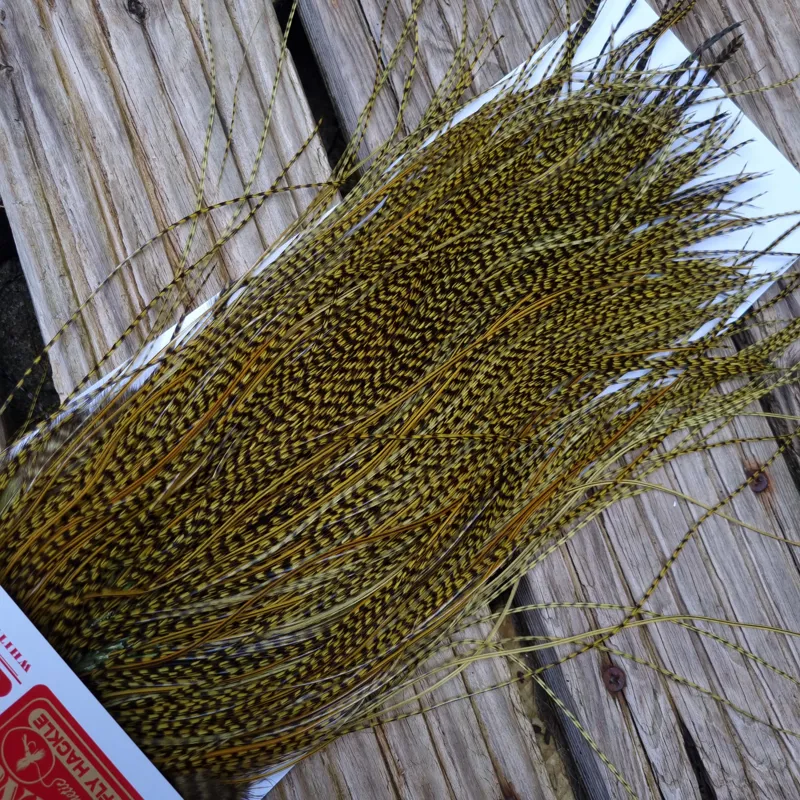 Whiting Pro-Grade Midge Rooster Saddle in Grizzly Dyed Olive B Splashed with OLIVE BADGER Hackles Approx tying size 14/16/18/20/22/24 AND OUT OF SIGHT-8