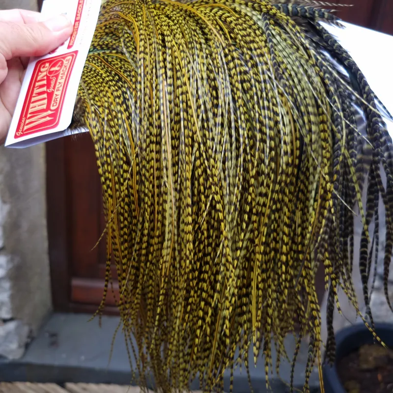Whiting Pro-Grade Midge Rooster Saddle in Grizzly Dyed Olive B Splashed with OLIVE BADGER Hackles Approx tying size 14/16/18/20/22/24 AND OUT OF SIGHT-2