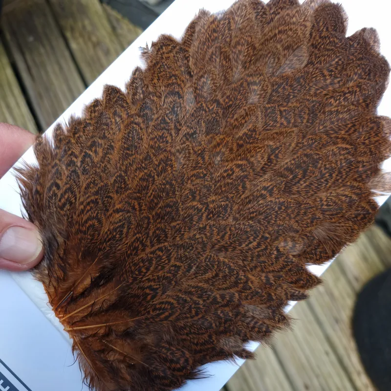Whiting Brahma Hen Saddle in Golden Brown-1