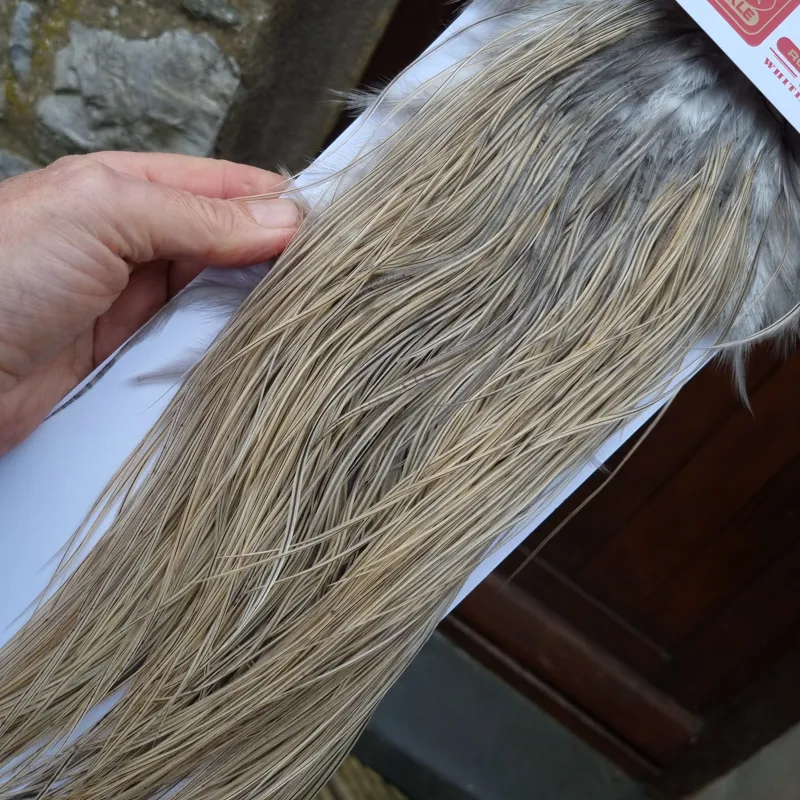 Whiting Pro-Grade Midge Rooster Saddle in Natural Dun/ Light Blue Dun/Medium Blue Dun Badger/Champagne Blue Dun Badger B Tying Approx 14/16/18/20-9