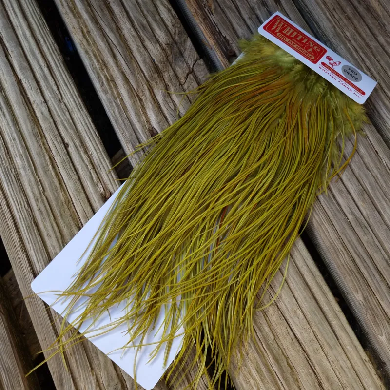 Whiting Pro-Grade Midge Rooster Saddle in White Dyed Olive B Light Olive/ Medium Olive/ Rusty Olive and Yellow Olive Approx Tying Size Few14 and Stuffed with 14/16/18/20/22 and a few smaller-3