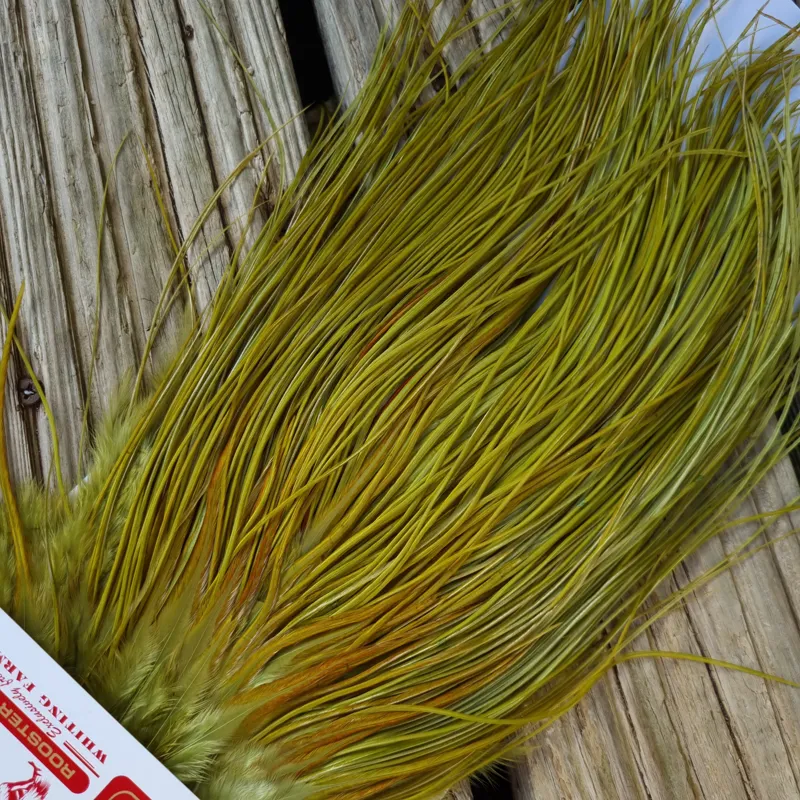 Whiting Pro-Grade Midge Rooster Saddle in White Dyed Olive B Light Olive/ Medium Olive/ Rusty Olive and Yellow Olive Approx Tying Size Few14 and Stuffed with 14/16/18/20/22 and a few smaller-6