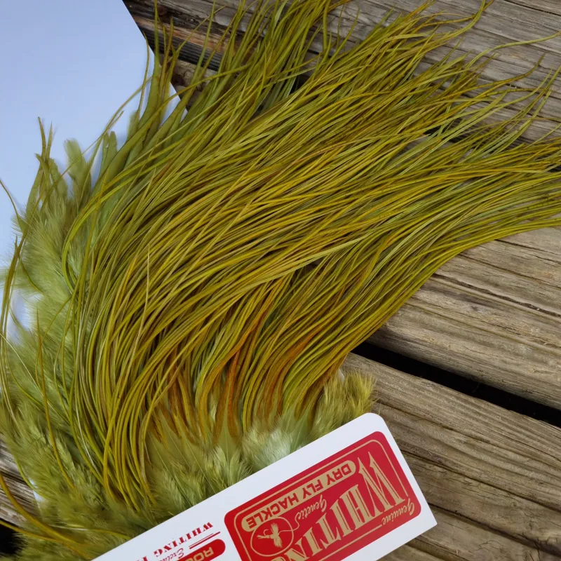Whiting Pro-Grade Midge Rooster Saddle in White Dyed Olive B Light Olive/ Medium Olive/ Rusty Olive and Yellow Olive Approx Tying Size Few14 and Stuffed with 14/16/18/20/22 and a few smaller-1