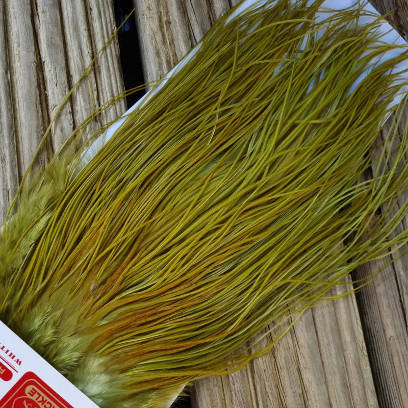 Whiting Pro-Grade Midge Rooster Saddle in White Dyed Olive B Light Olive/ Medium Olive/ Rusty Olive and Yellow Olive Approx Tying Size Few14 and Stuffed with 14/16/18/20/22 and a few smaller-8