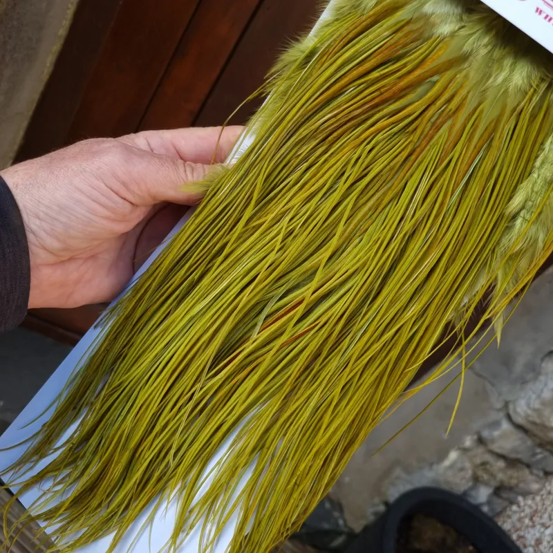 Whiting Pro-Grade Midge Rooster Saddle in White Dyed Olive B Light Olive/ Medium Olive/ Rusty Olive and Yellow Olive Approx Tying Size Few14 and Stuffed with 14/16/18/20/22 and a few smaller-2