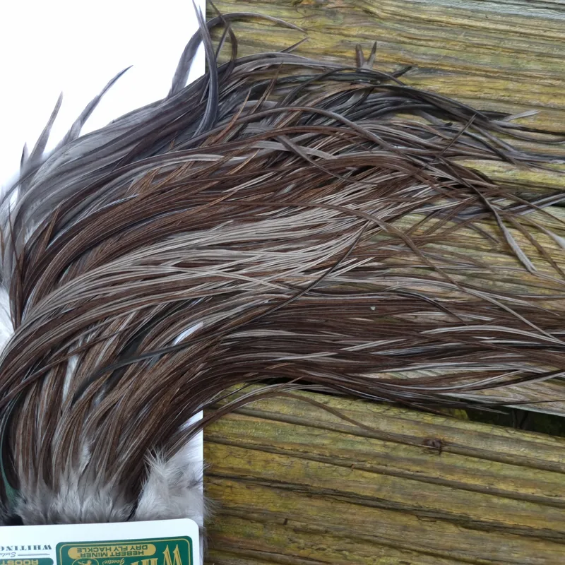 Whiting Hebert Miner Bronze Grade Dry Fly Rooster Saddle in Dark Gray Dun B Approx Tying Size 12/14-4