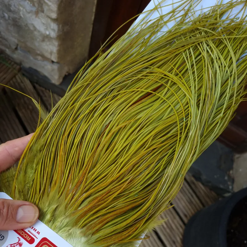 Whiting Pro-Grade Midge Rooster Saddle in White Dyed Olive B Light Olive/ Medium Olive/ Rusty Olive and Yellow Olive Approx Tying Size Few14 and Stuffed with 14/16/18/20/22 and a few smaller-4