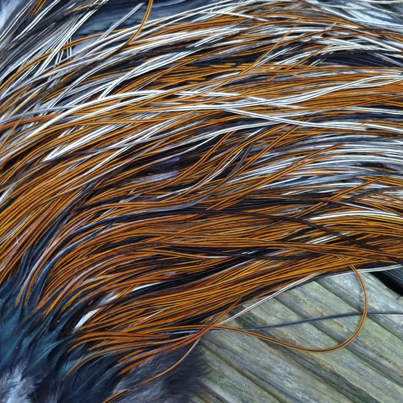 Whiting Heritage Hackles Rooster Saddle in Mixed Colours B Light/Medium and Speckled Furnace Tying Approx 16/18/20-1