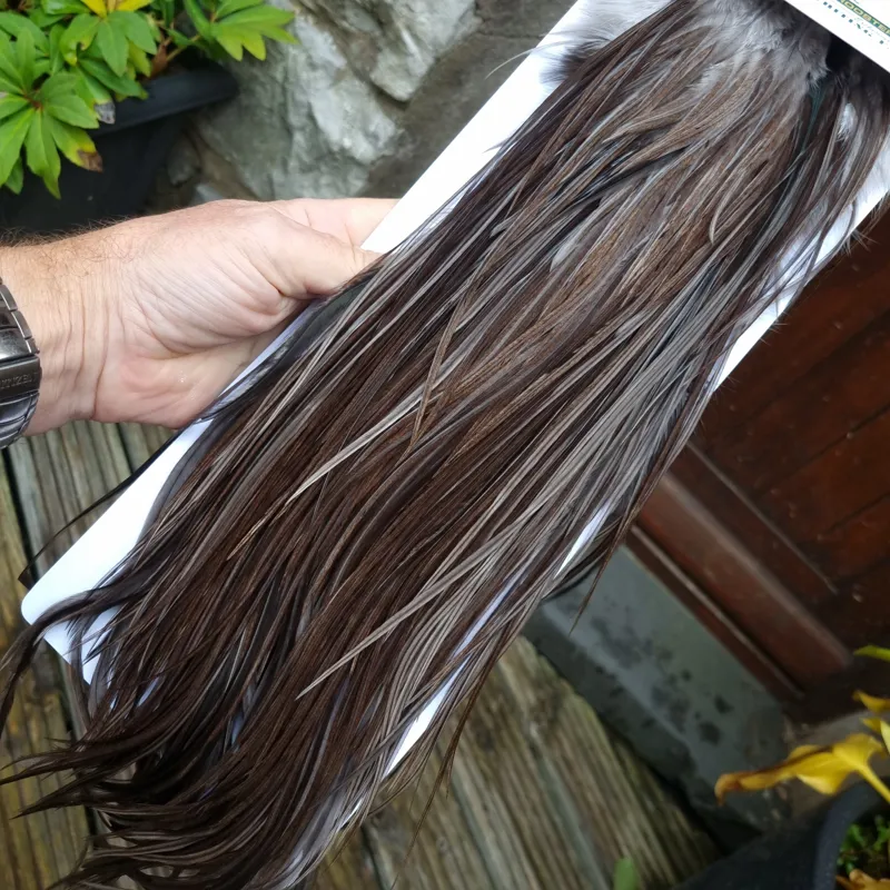 Whiting Hebert Miner Bronze Grade Dry Fly Rooster Saddle in Dark Gray Dun B Approx Tying Size 12/14-6