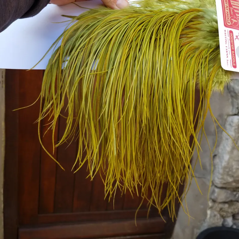 Whiting Pro-Grade Midge Rooster Saddle in White Dyed Olive B Light Olive/ Medium Olive/ Rusty Olive and Yellow Olive Approx Tying Size Few14 and Stuffed with 14/16/18/20/22 and a few smaller-5