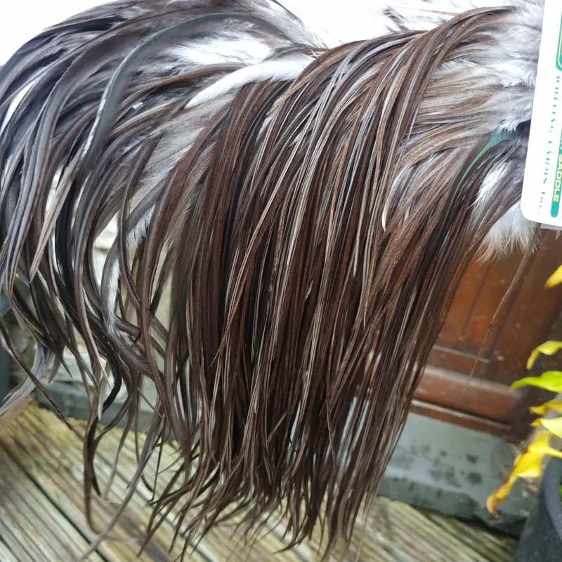 Whiting Hebert Miner Bronze Grade Dry Fly Rooster Saddle in Dark Gray Dun B Approx Tying Size 12/14