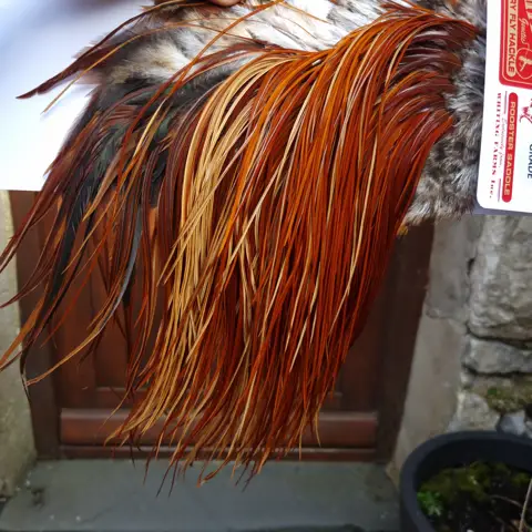 Whiting Farms Rooster Pro Grade Saddle - Plumes de Coq pour Mouches Whiting Farms Rooster Pro Grade Saddle - Plumes de Coq pour Mouches