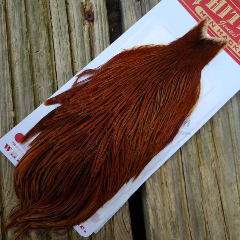 Whiting Hen Cape in Brown Furnace B