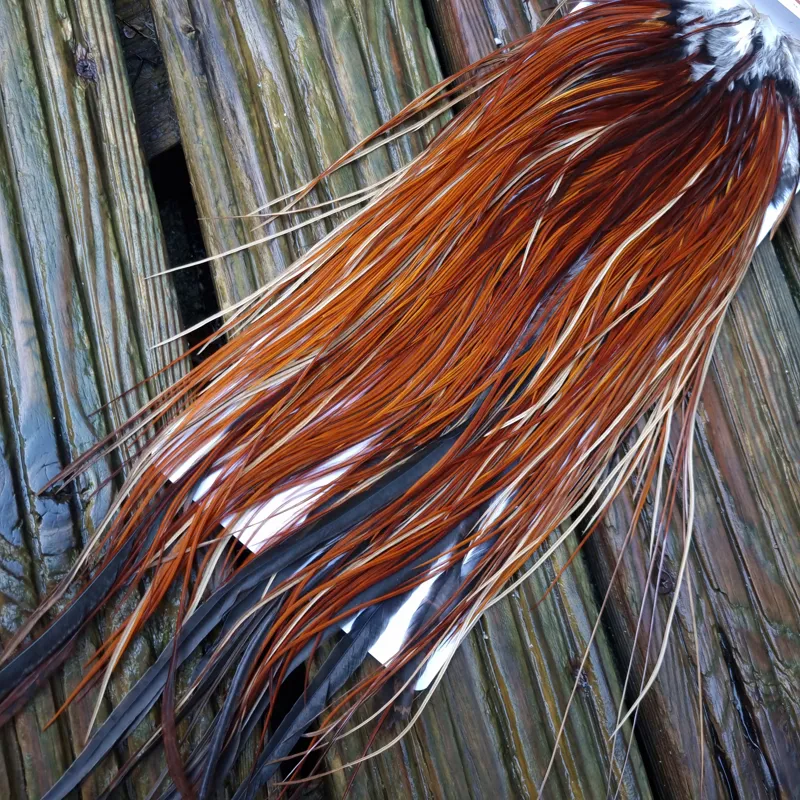 Whiting PRO-GRADE Dry Fly Rooster Saddle in Brown/Medium Red Game B Approx Tying Sizes some 12's and stuffed with 14/16-3