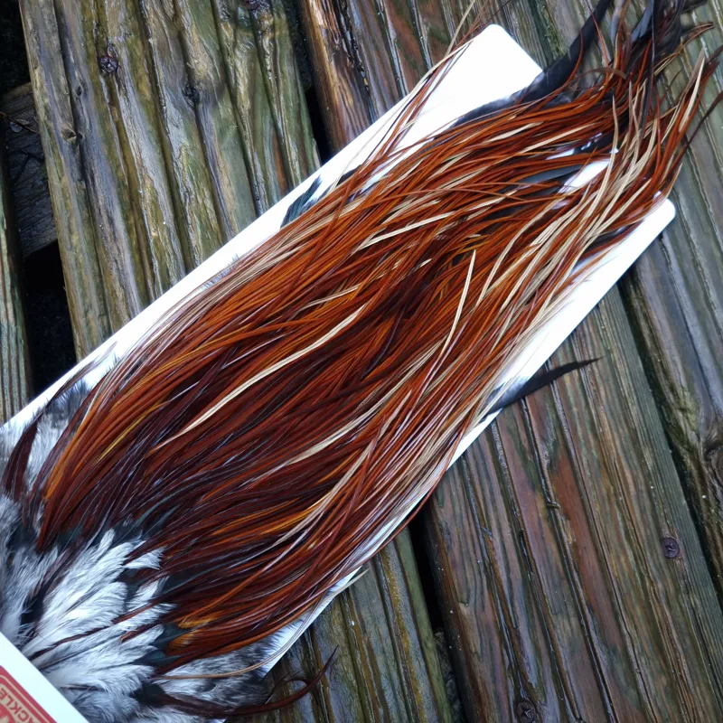 Whiting PRO-GRADE Dry Fly Rooster Saddle in Brown/Medium Red Game B Approx Tying Sizes some 12's and stuffed with 14/16-5