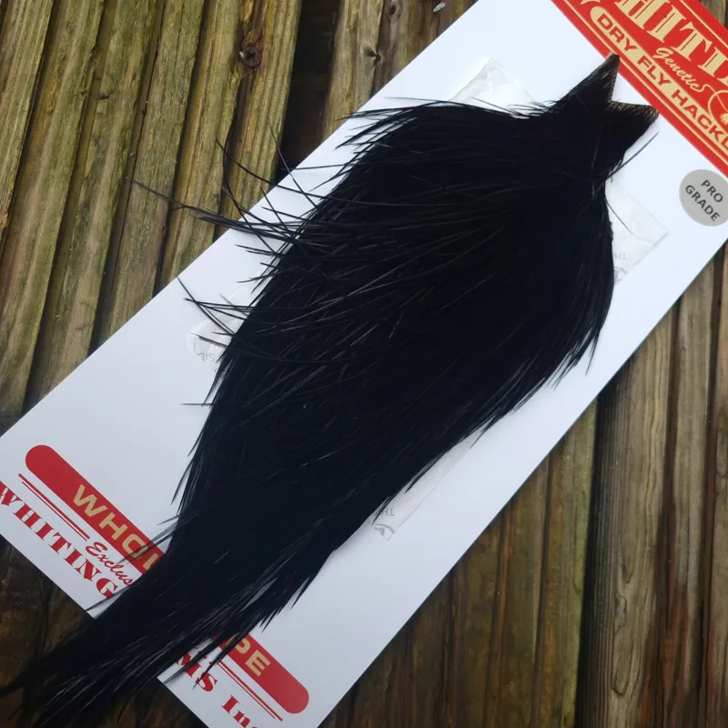 Whiting Pro-Grade Dry Fly Rooster Cape in Black B-1