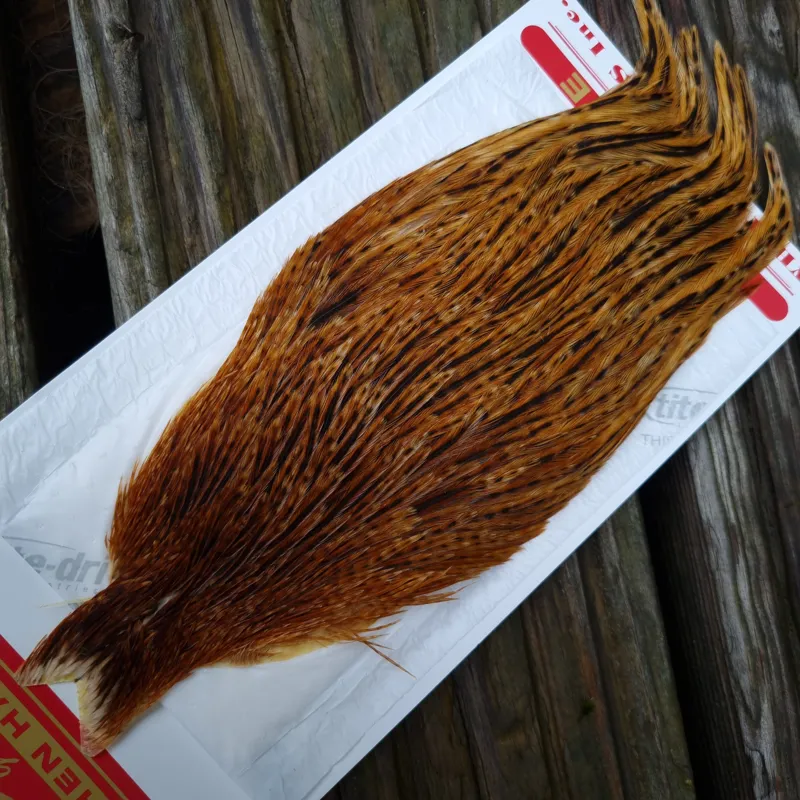 Whiting Hen Cape in Barred Dark Ginger D-1