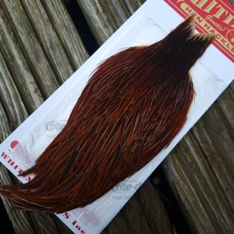 Whiting Hen Cape in Brown E Red Game /Furnace