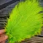 Whiting Spey Bird Fur in Fl.Green Chartreuse