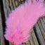 Whiting Spey Bird Fur in Shell Pink