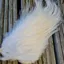 Whiting Spey Bird Fur in White