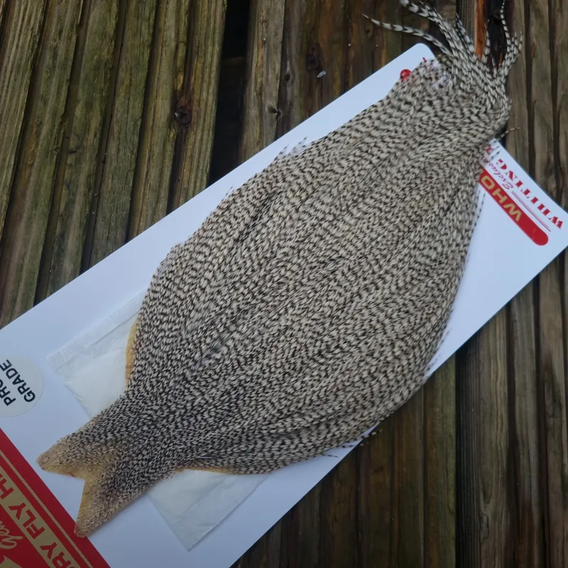 Whiting Pro-Grade Dry Fly Rooster Cape in Grizzly B-1
