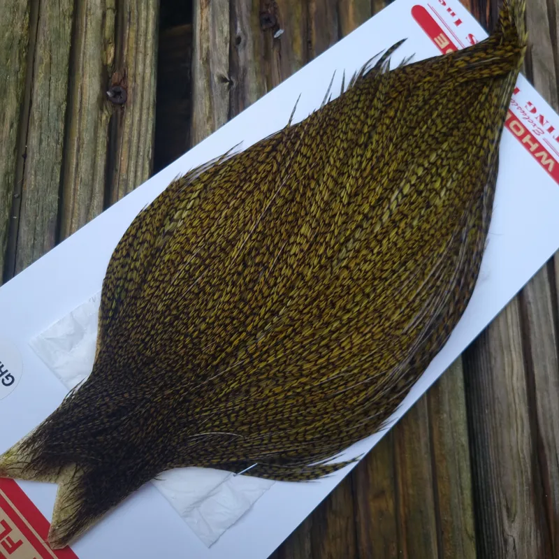 Whiting Pro-Grade Dry Fly Rooster Cape in Grizzly Dyed Dark Olive B-1