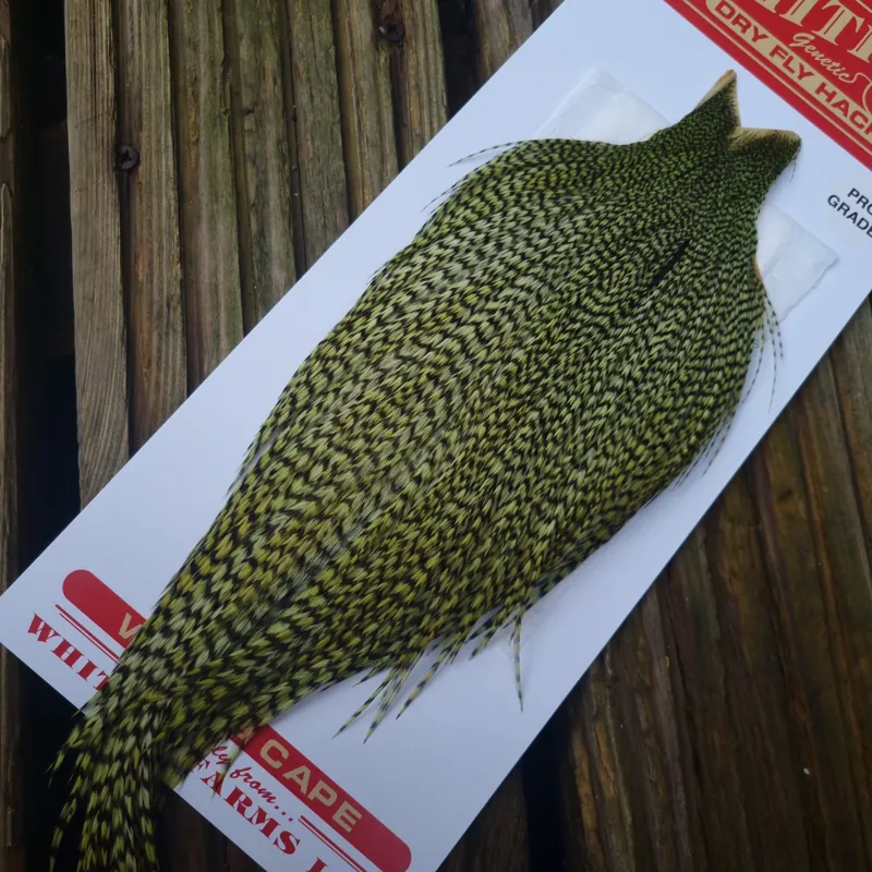 Whiting Pro-Grade Dry Fly Rooster Cape in Grizzly Dyed Olive B-1