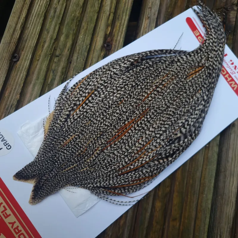 Whiting Pro-Grade Dry Fly Rooster Cape in Grizzly Variant B-1