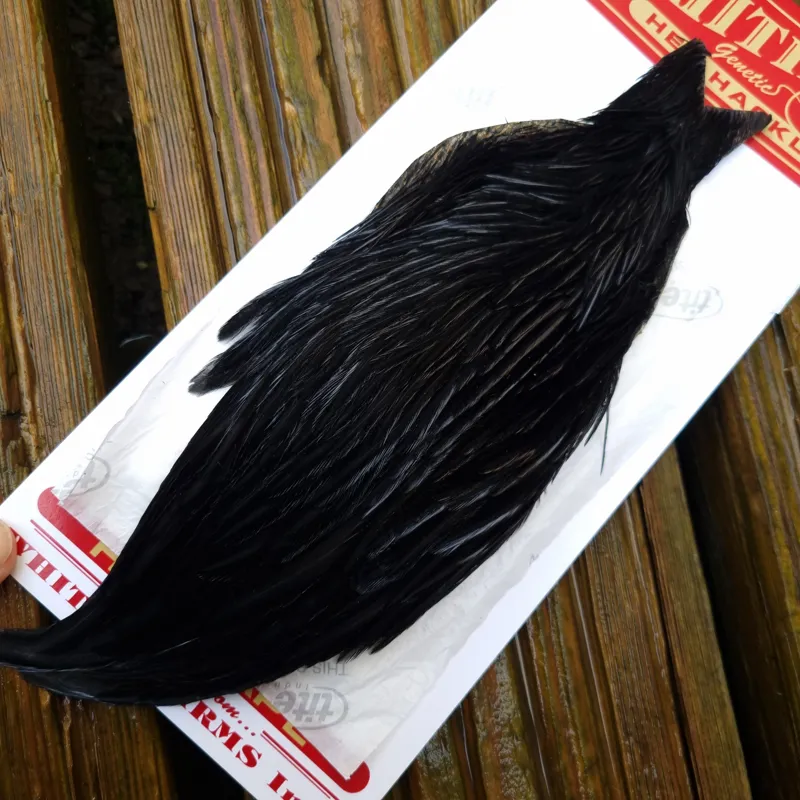 Whiting Hen Cape in Dyed Black B-1