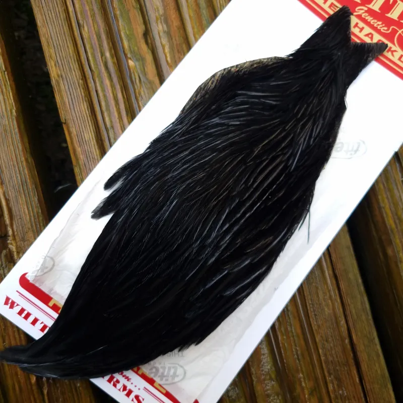 Whiting Hen Cape in Dyed Black B-3