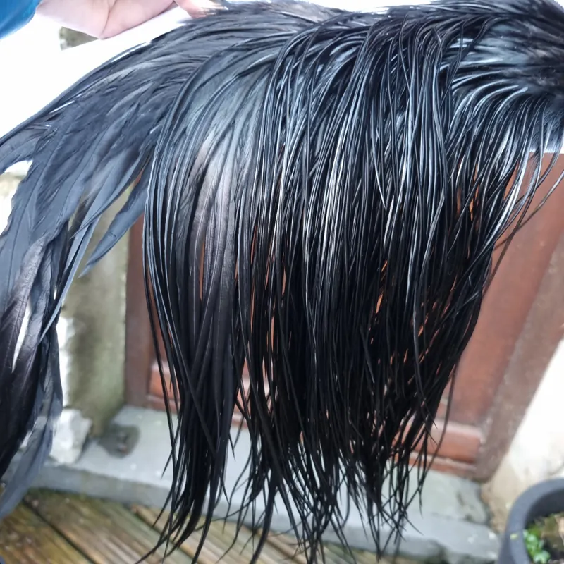 Whiting PRO-GRADE Dry Fly Rooster Saddle in Black B Approx Tying Sizes 12/14/16-5