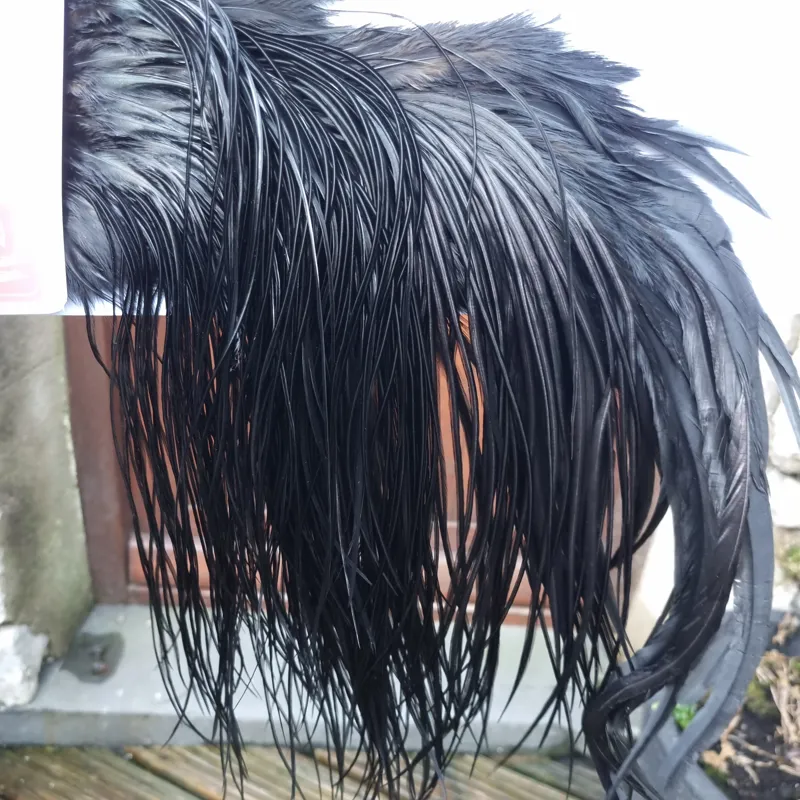 Whiting PRO-GRADE Dry Fly Rooster Saddle in Black B Approx Tying Sizes 12/14/16-1