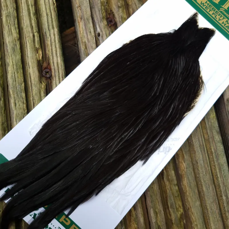 Whiting Hebert Miner Hen Cape in Natural Black B