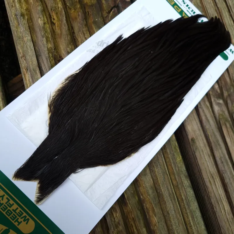 Whiting Hebert Miner Hen Cape in Natural Black B-1