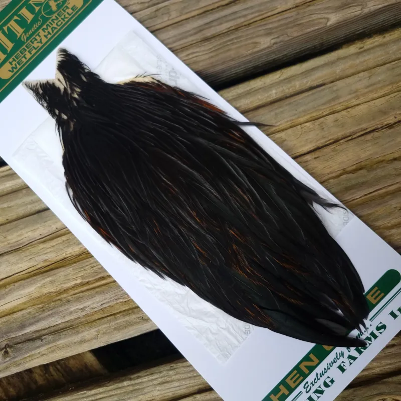 Whiting Hebert Miner Hen Cape in Natural Black C-2