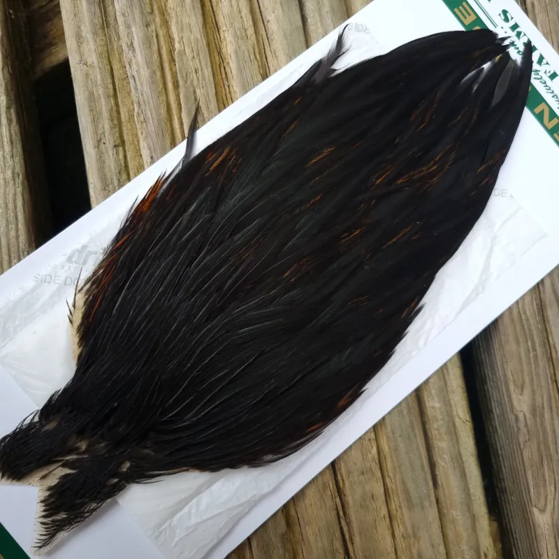 Whiting Hebert Miner Hen Cape in Natural Black C-4